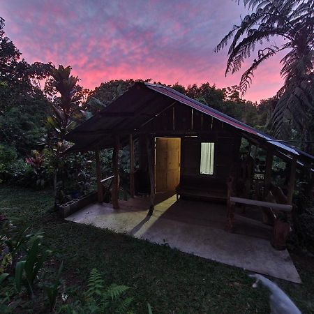 Cabana Maquique - San Vito Villa San Ramon  Bagian luar foto