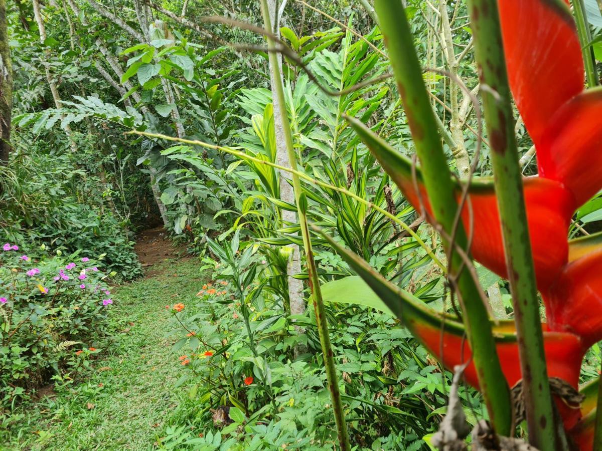 Cabana Maquique - San Vito Villa San Ramon  Bagian luar foto
