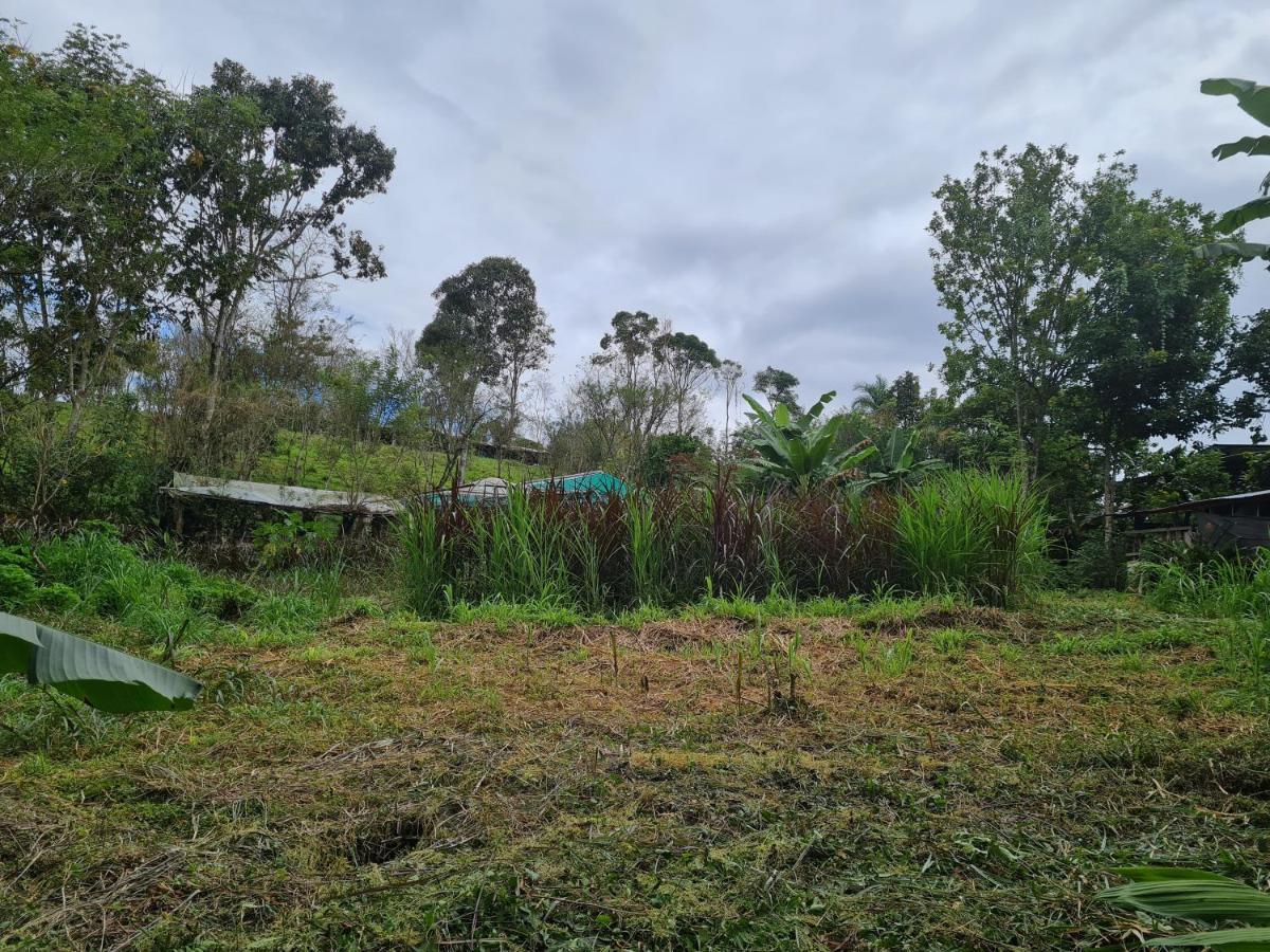 Cabana Maquique - San Vito Villa San Ramon  Bagian luar foto
